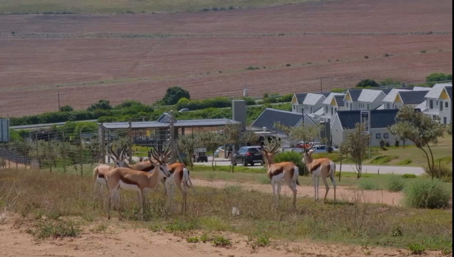 3 Bedroom Property for Sale in Hartland Lifestyle Estate Western Cape